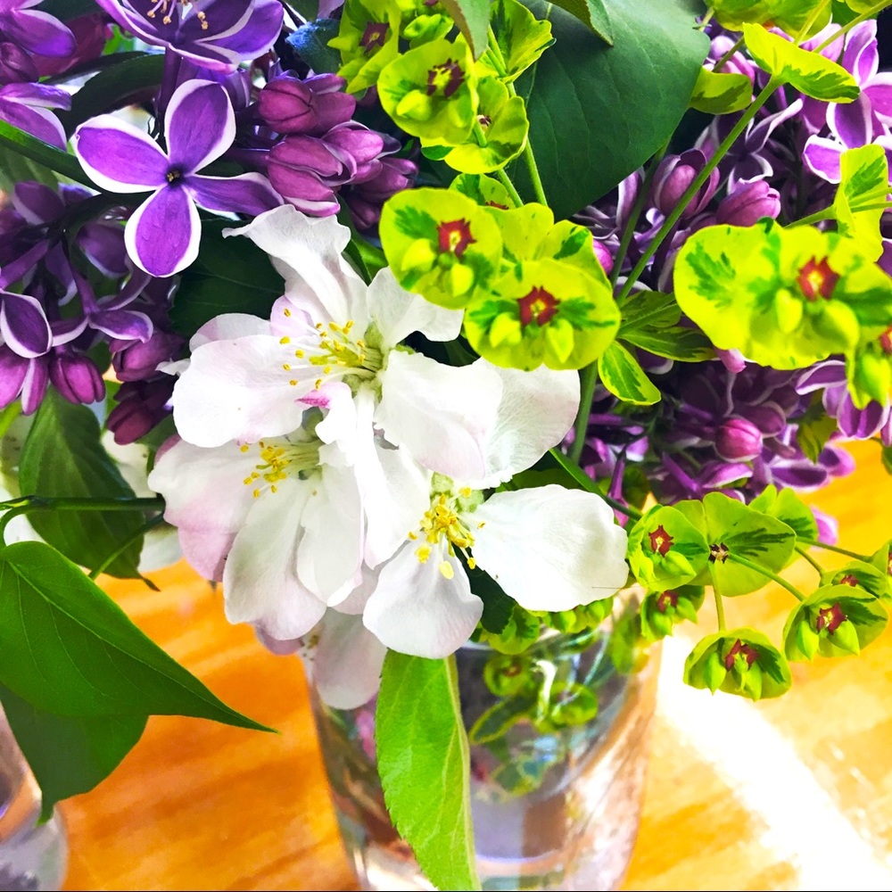 Meet your Posher, Jamie